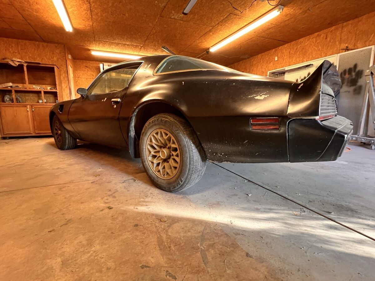 1979 Pontiac Firebird - photo 3