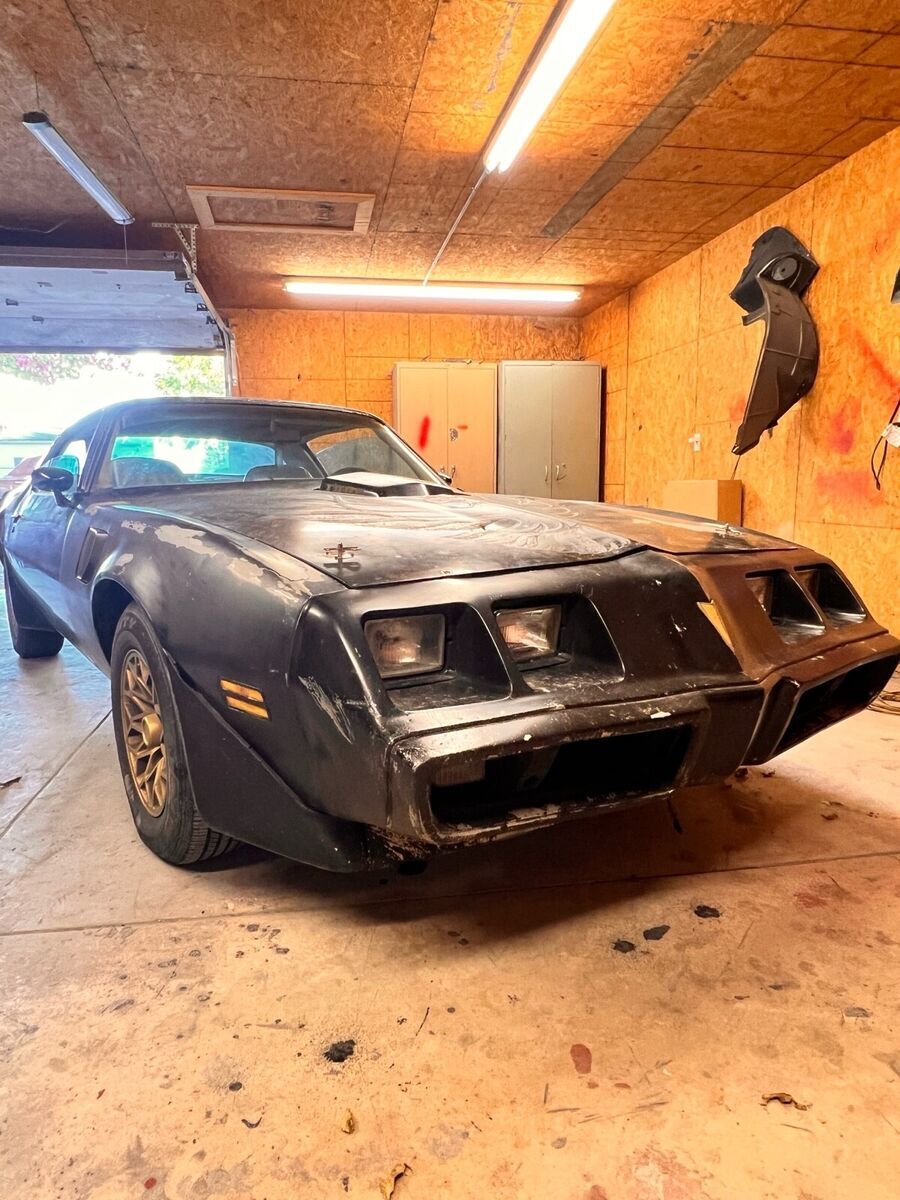 1979 Pontiac Firebird - photo 4