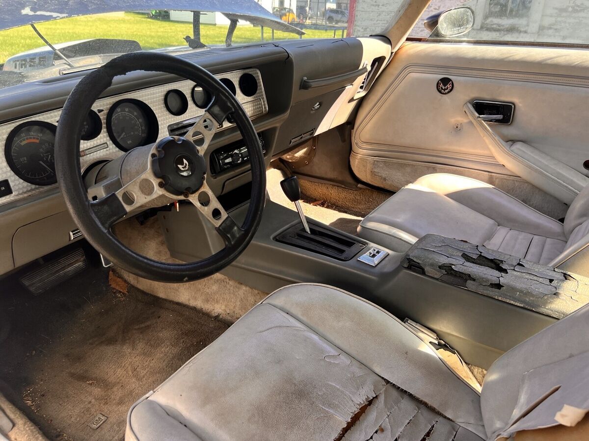 1979 Pontiac Firebird - photo 6