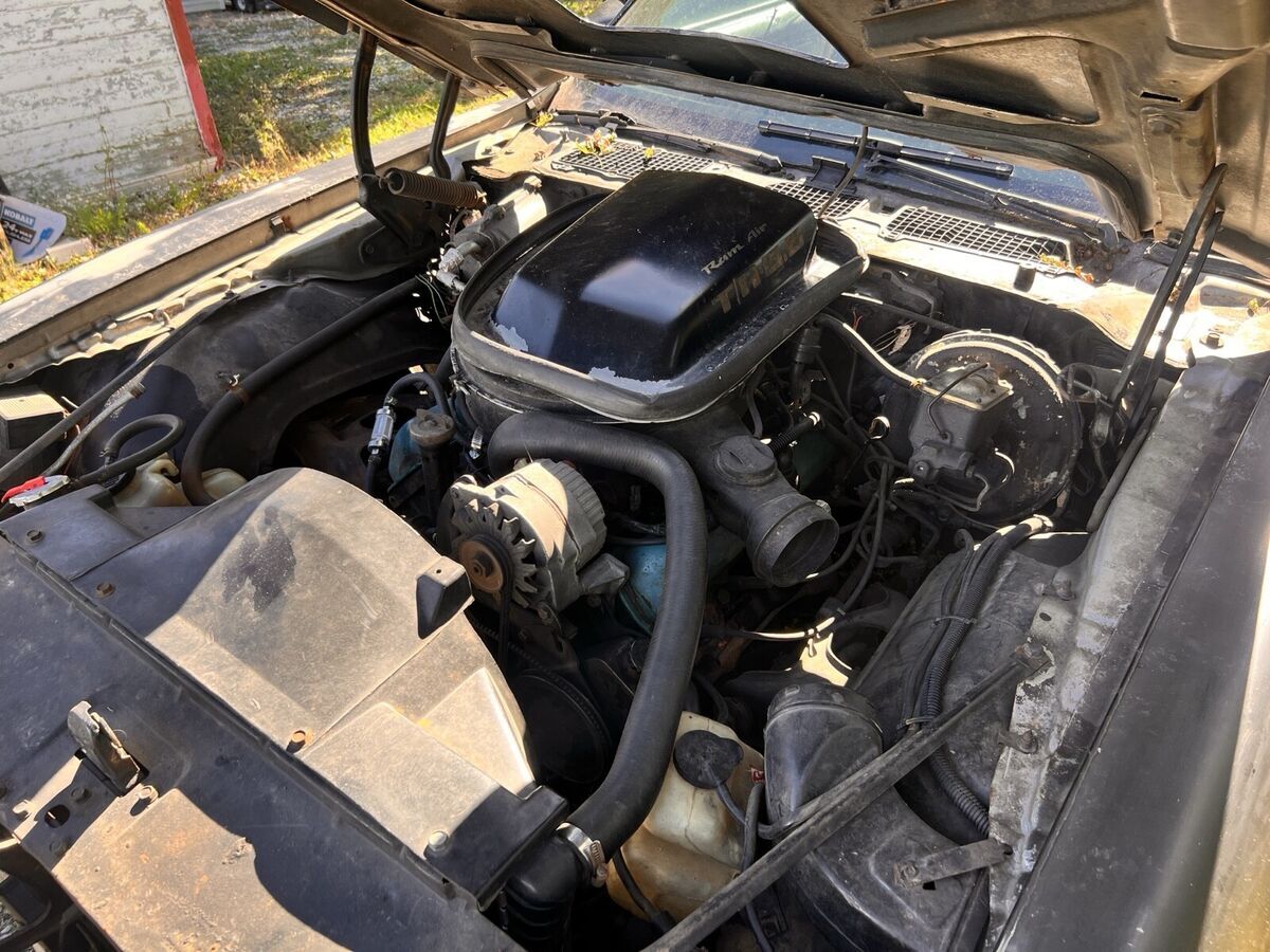 1979 Pontiac Firebird - photo 7