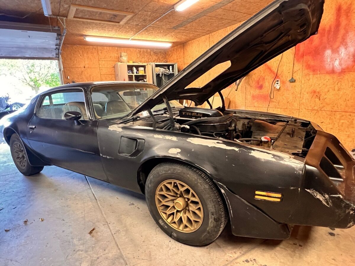 1979 Pontiac Firebird - photo 8