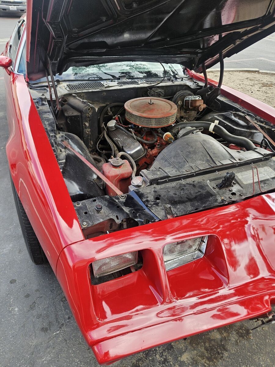 1979 Pontiac Firebird - photo 11