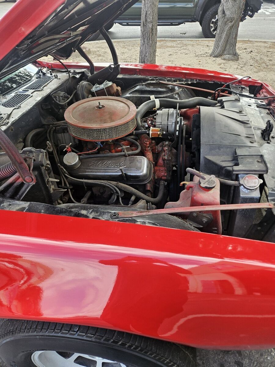 1979 Pontiac Firebird - photo 12