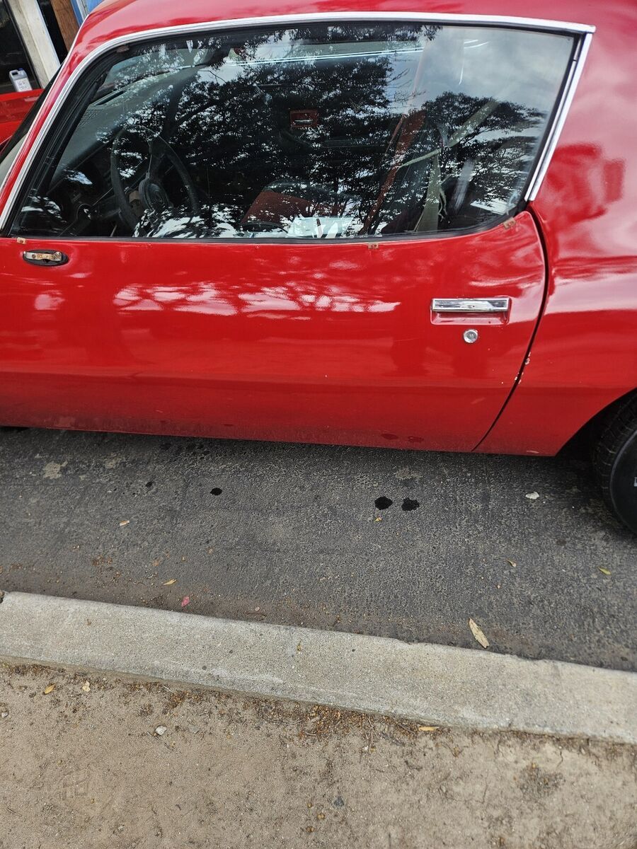 1979 Pontiac Firebird - photo 5