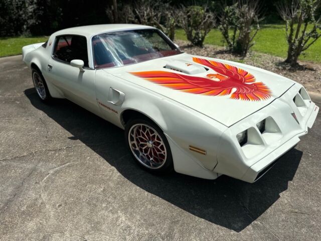 1979 Pontiac Firebird - photo 3