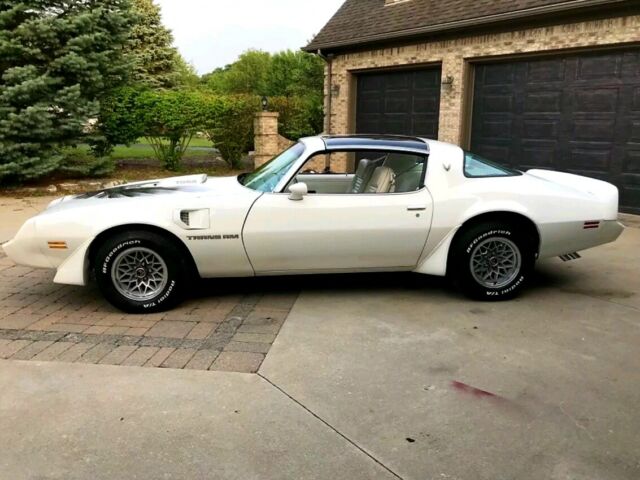 1979 Pontiac Firebird - photo 11