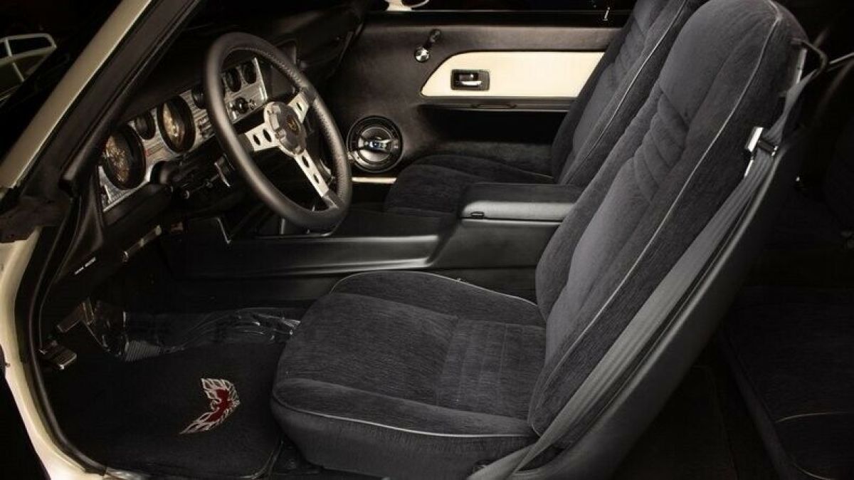 1979 Pontiac Firebird Trans Am - photo 10