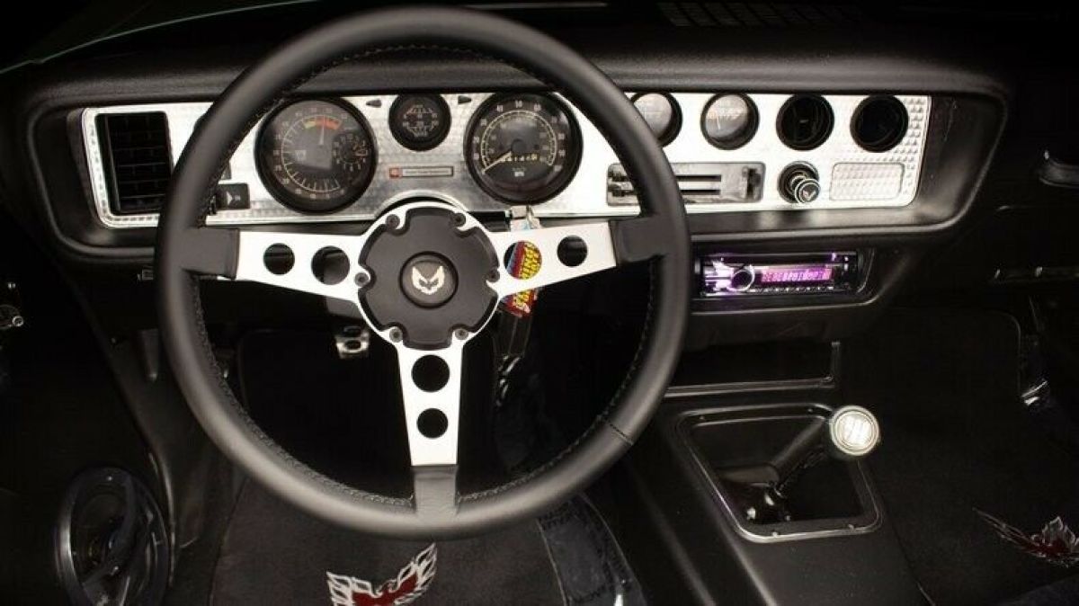 1979 Pontiac Firebird Trans Am - photo 12