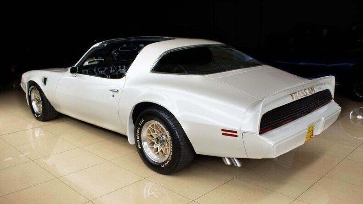 1979 Pontiac Firebird Trans Am - photo 4