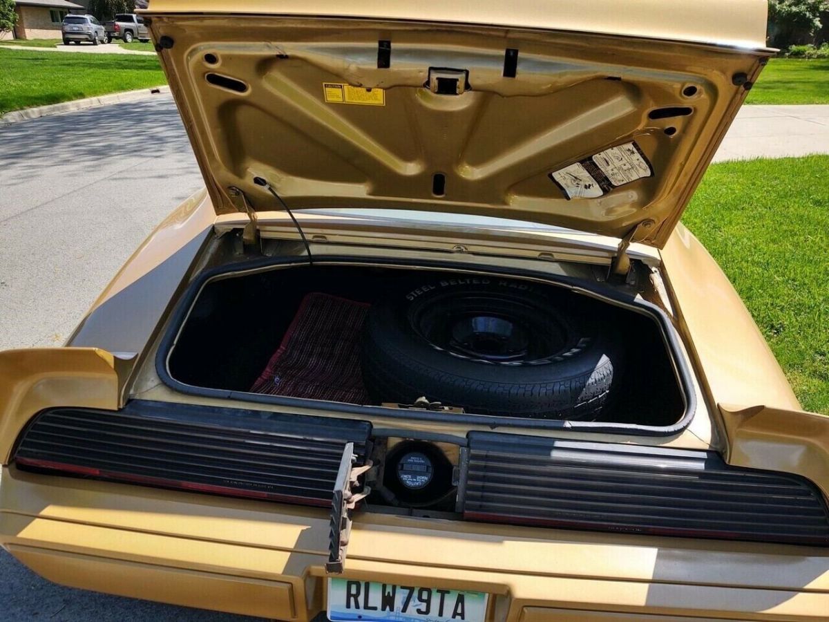 1979 Pontiac Trans Am TTOPS 403 V8 AUTO GOLD EDITION WS4 - photo 11