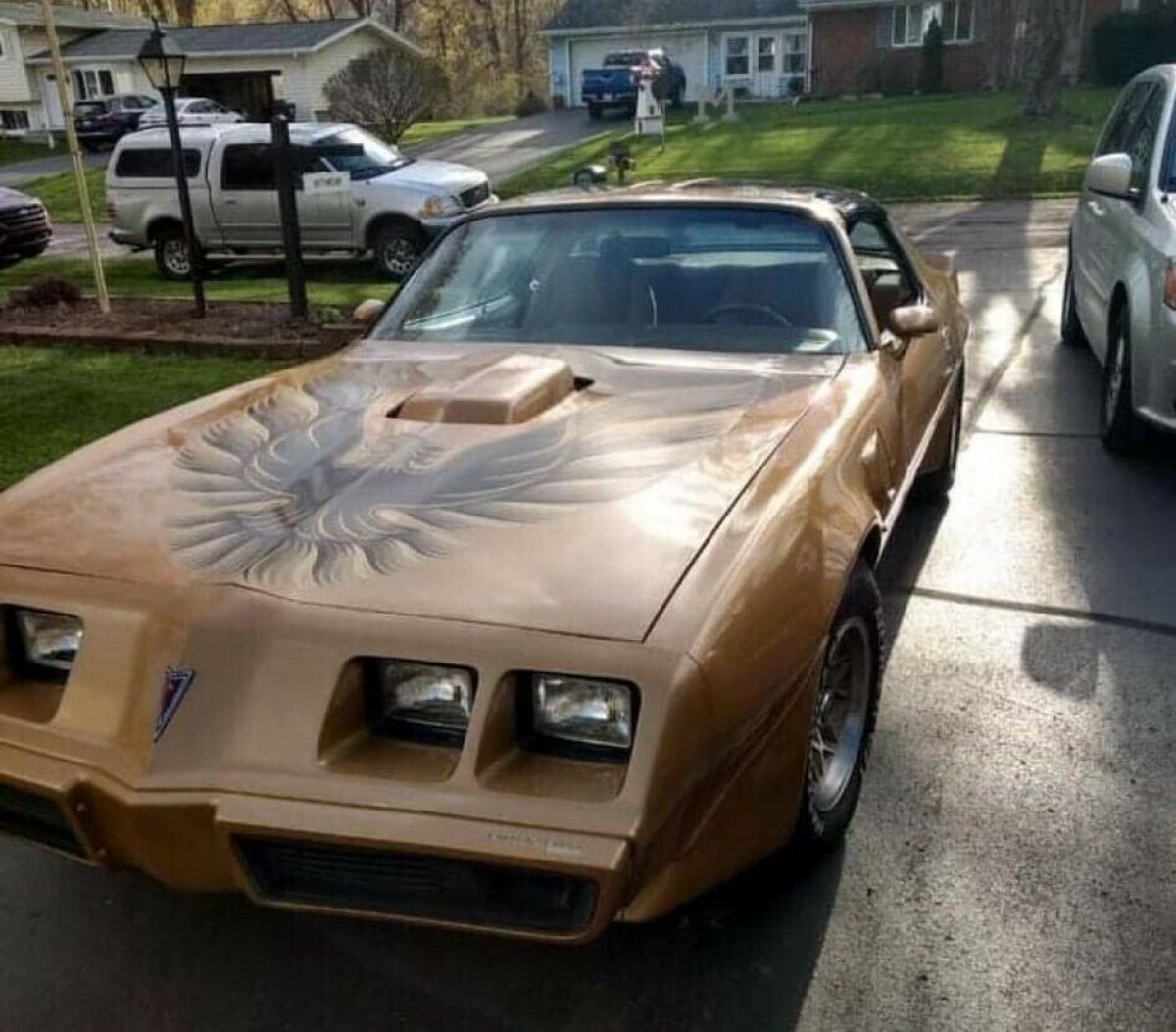 1979 Pontiac Trans Am TTOPS 403 V8 AUTO GOLD EDITION WS4 - photo 6