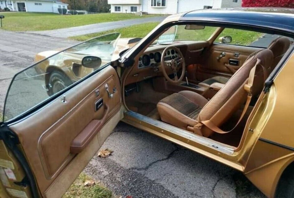 1979 Pontiac Trans Am TTOPS 403 V8 AUTO GOLD EDITION WS4 - photo 9