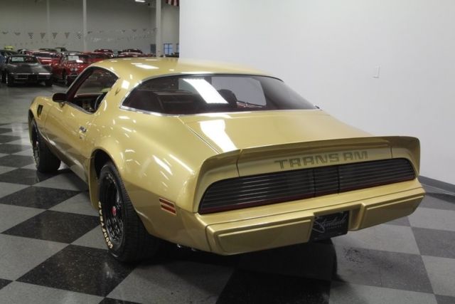 1979 Pontiac Firebird Trans Am - photo 11