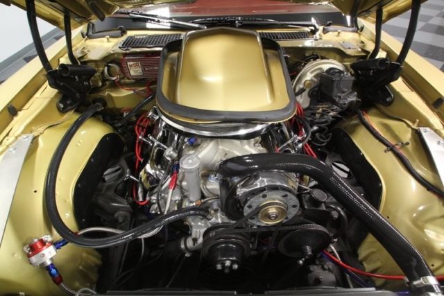 1979 Pontiac Firebird Trans Am - photo 4