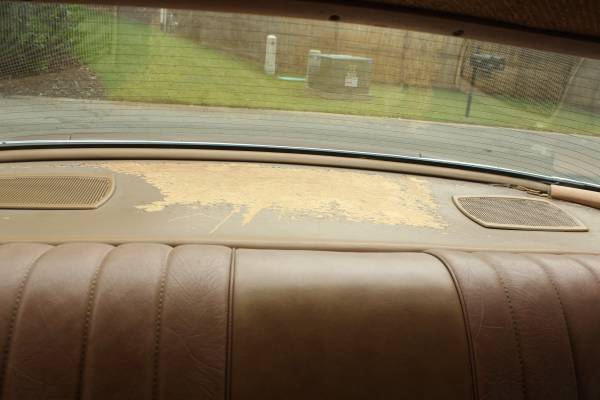 1979 Pontiac Firebird - photo 10