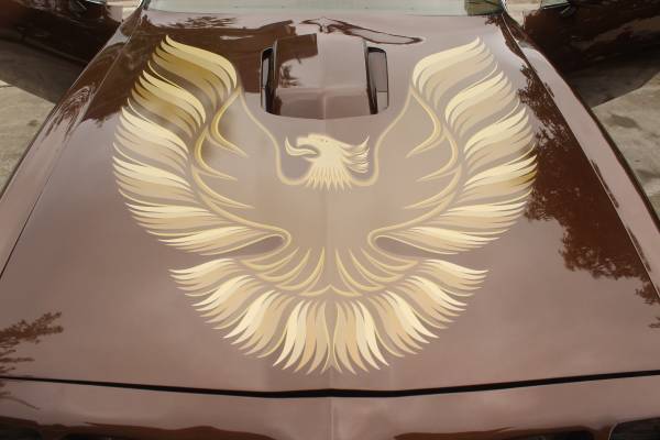 1979 Pontiac Firebird - photo 5