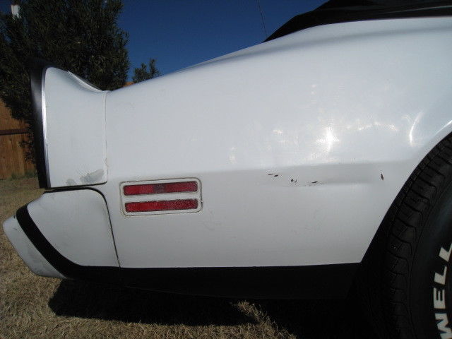 1979 Pontiac Trans Am - photo 3
