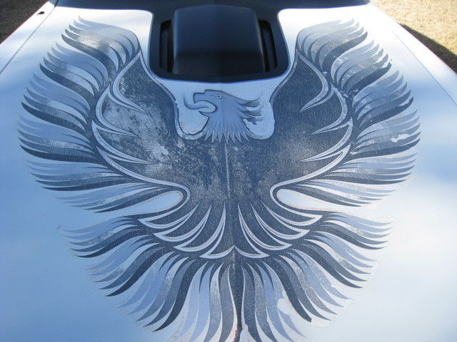 1979 Pontiac Trans Am - photo 7