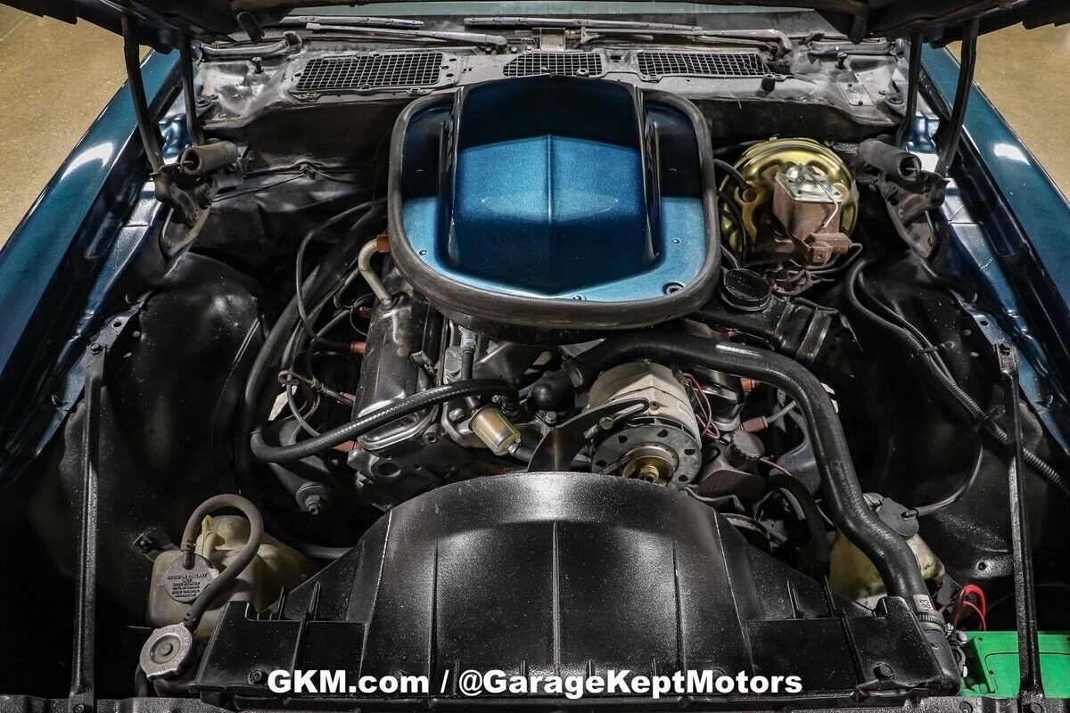 1979 Pontiac Firebird Trans Am - photo 6