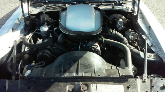 1979 Pontiac Trans Am Firebird - photo 10