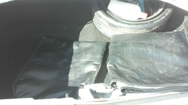 1979 Pontiac Trans Am Firebird - photo 12