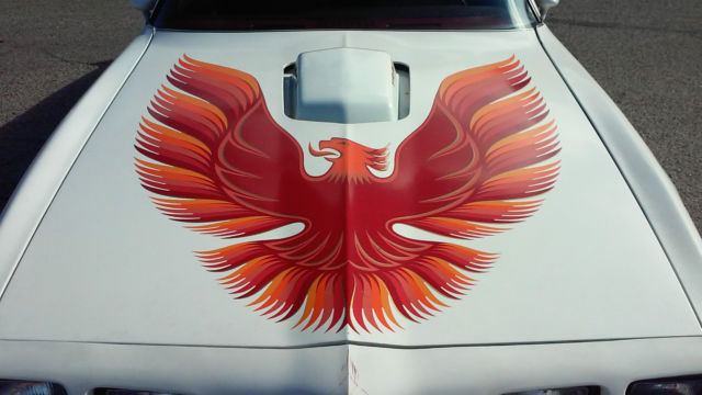 1979 Pontiac Trans Am Firebird - photo 9