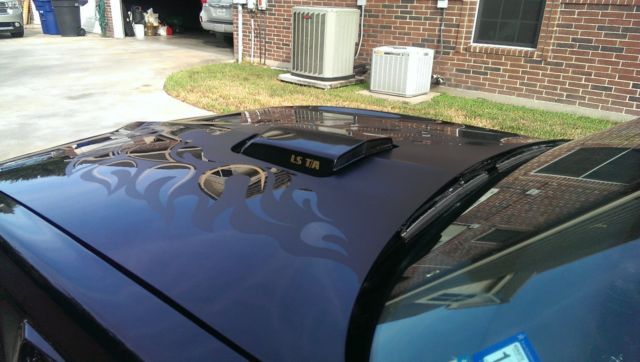 1979 Pontiac Firebird - photo 5