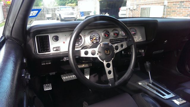 1979 Pontiac Firebird - photo 8