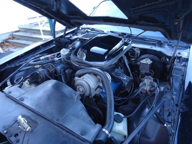 1979 Pontiac Firebird trans am - photo 10