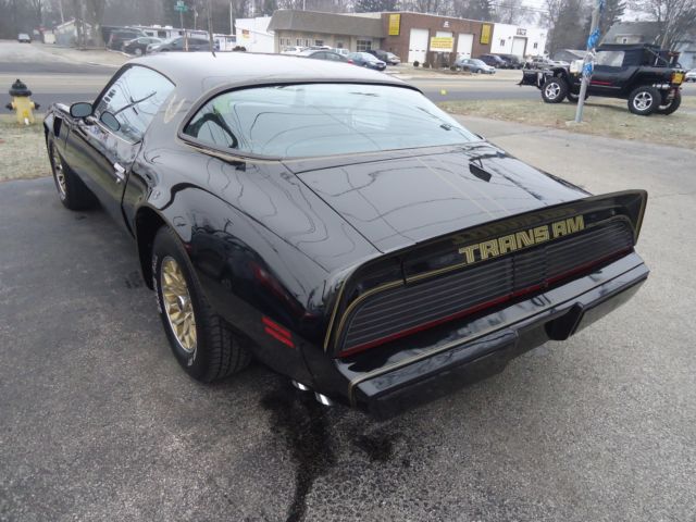 1979 Pontiac Firebird trans am - photo 6