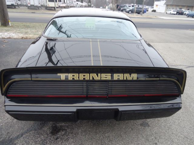 1979 Pontiac Firebird trans am - photo 7