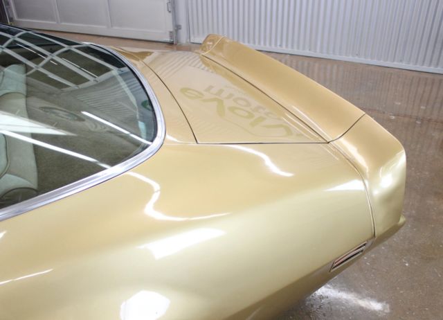 1979 Pontiac Firebird Trans Am - photo 10