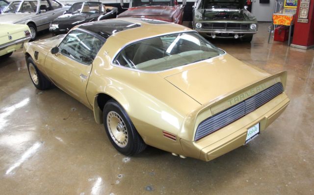 1979 Pontiac Firebird Trans Am - photo 12