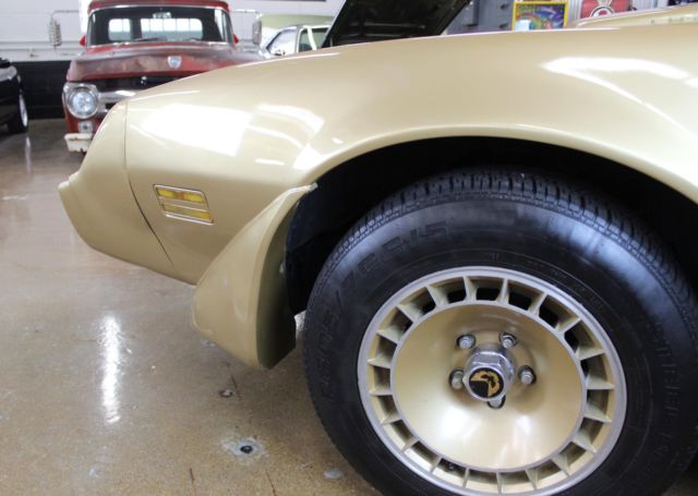 1979 Pontiac Firebird Trans Am - photo 3