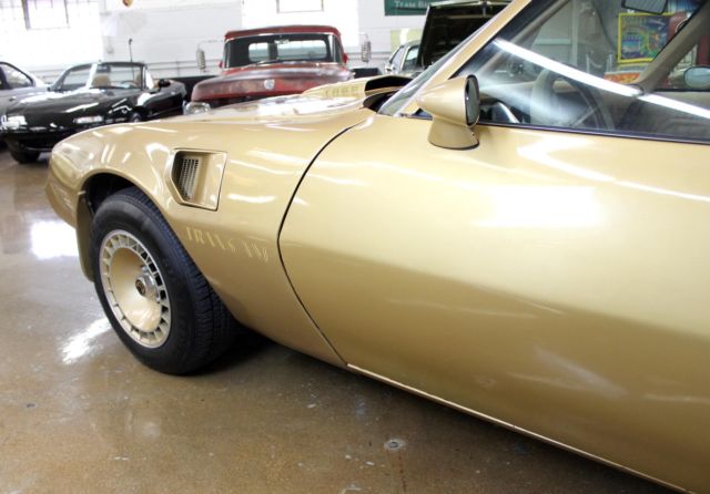 1979 Pontiac Firebird Trans Am - photo 4