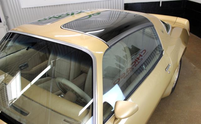 1979 Pontiac Firebird Trans Am - photo 6