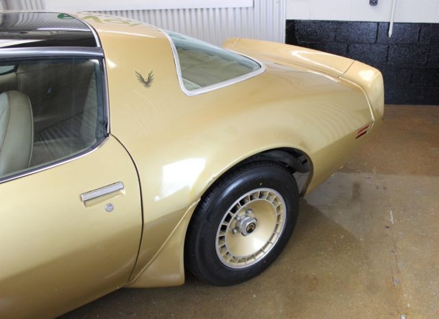 1979 Pontiac Firebird Trans Am - photo 8