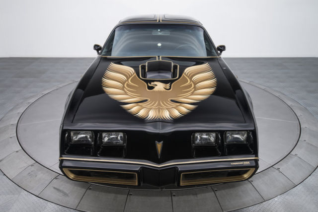 1979 Pontiac Firebird Trans Am SE - photo 10