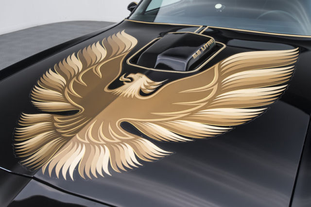 1979 Pontiac Firebird Trans Am SE - photo 12