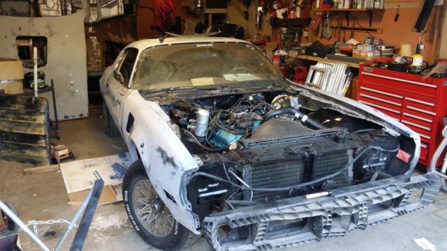 1979 Pontiac Trans Am - photo 10