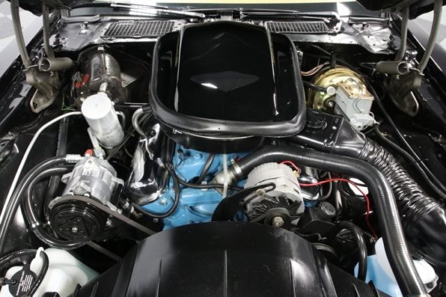 1979 Pontiac Firebird TRANS AM SE W72 - photo 4