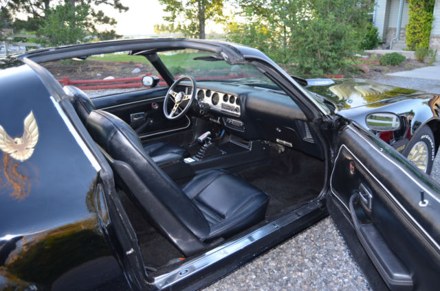1979 Pontiac Trans Am trans am - photo 10