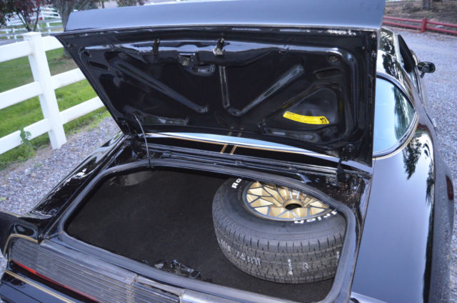 1979 Pontiac Trans Am trans am - photo 11