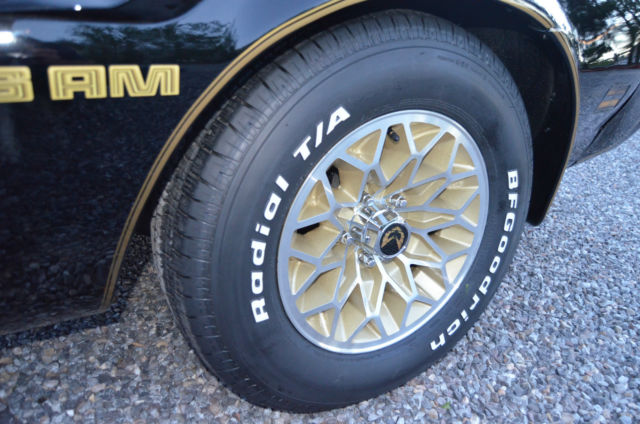 1979 Pontiac Trans Am trans am - photo 13