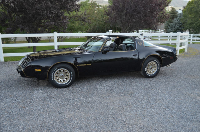 1979 Pontiac Trans Am trans am - photo 3