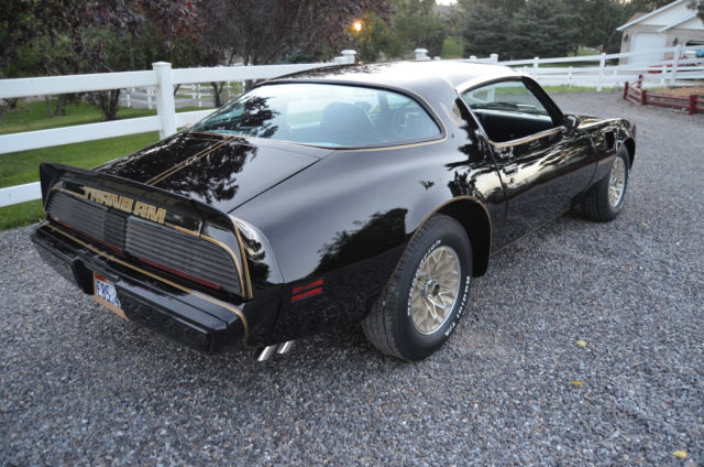 1979 Pontiac Trans Am trans am - photo 4