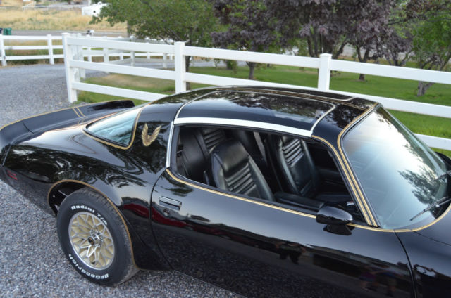 1979 Pontiac Trans Am trans am - photo 6