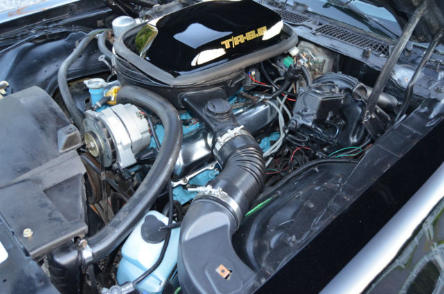1979 Pontiac Trans Am trans am - photo 7