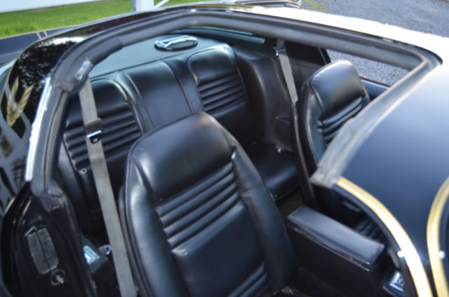 1979 Pontiac Trans Am trans am - photo 9
