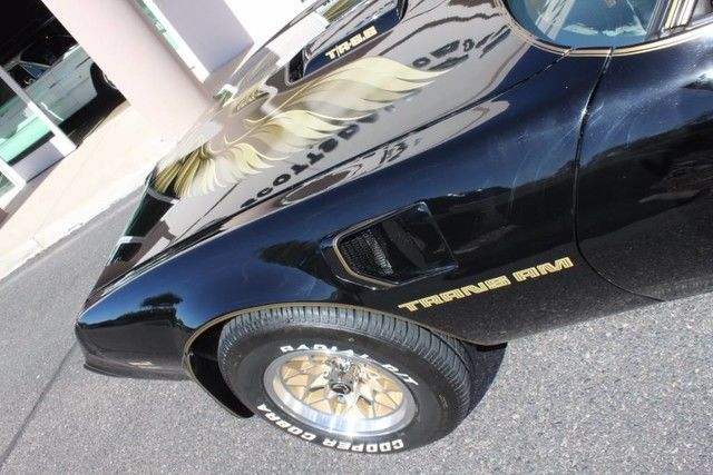 1979 Pontiac Firebird Trans Am Special Edition Y84 WS6 - photo 13